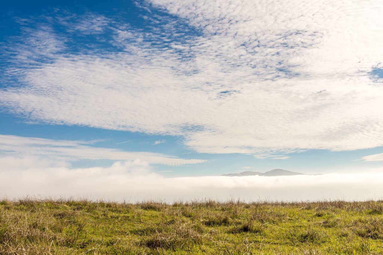 Bright and sunny with a chance of clouds