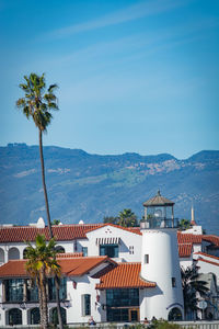Palm trees and buildings against blue sky
