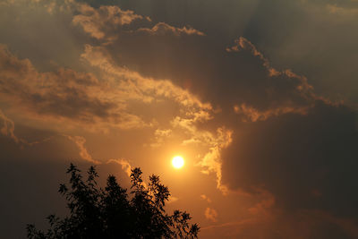 Low angle view of silhouette trees against sky during sunset