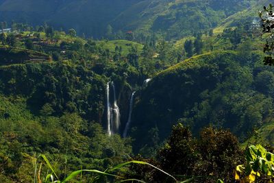 Scenic view of waterfall in forest