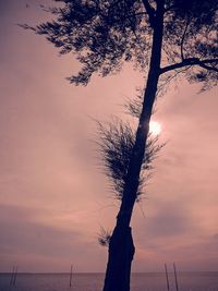 Silhouette tree against calm sea at sunset