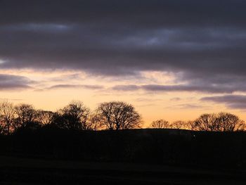 Silhouette of trees against dramatic sky