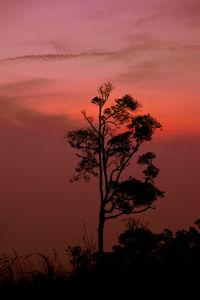 Silhouette tree against sky during sunset