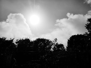 Low angle view of silhouette trees against sky on sunny day