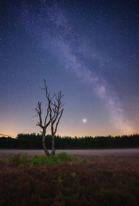 Scenic milkyway view of field against sky at night