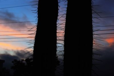 Low angle view of silhouette trees against sky at sunset