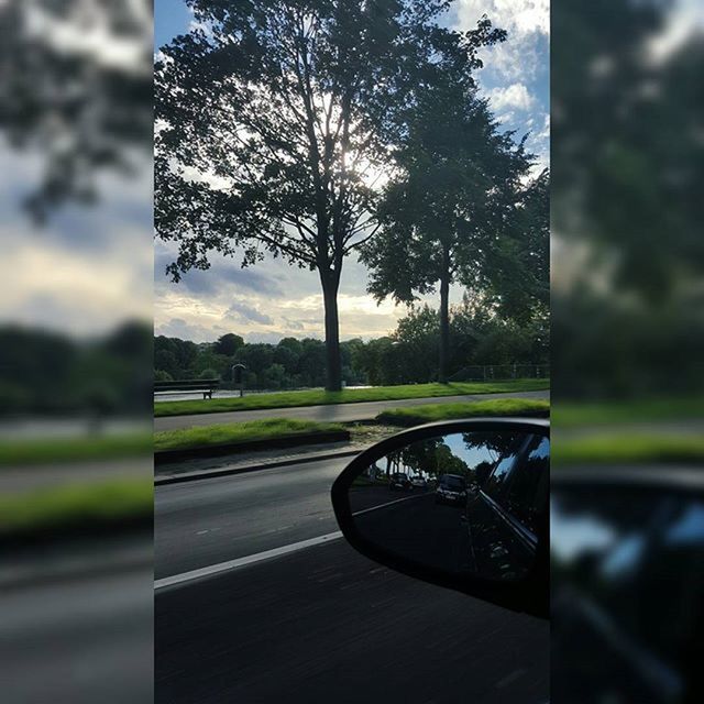 transportation, tree, land vehicle, mode of transport, grass, road, car, reflection, focus on foreground, field, sky, side-view mirror, bicycle, nature, landscape, street, green color, day, outdoors, growth