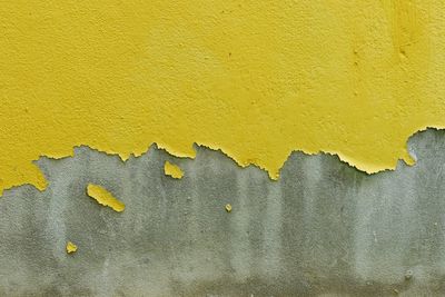 Close-up of yellow wall