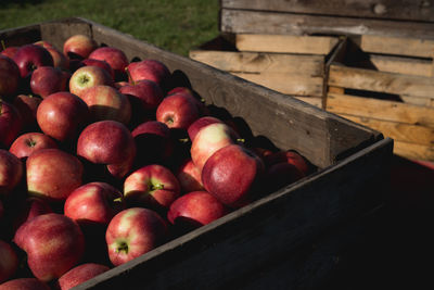 High angle view of apples in crate