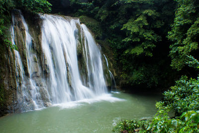 Scenic view of waterfall in forest