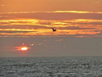 Scenic view of sea at sunset