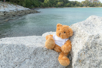 Close-up of stuffed toy on rock