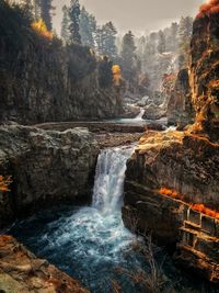 Scenic view of waterfall in forest