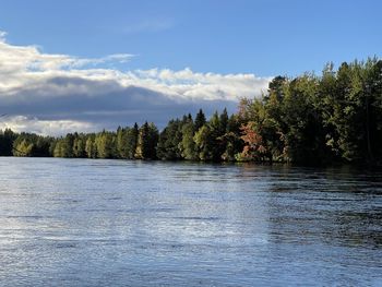 Scenic view of lake in forest against sky
