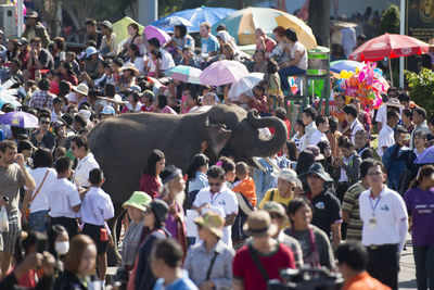 Elephant amidst people on street during festival