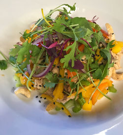 Close-up of vegetables in plate