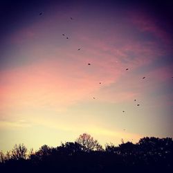 Low angle view of silhouette trees against sky at dusk