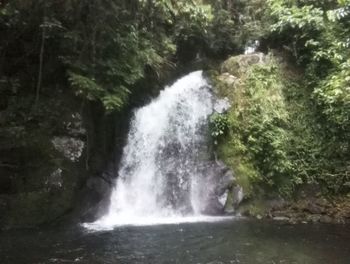 Scenic view of waterfall in forest