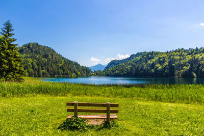 Scenic view of lake and trees against sky