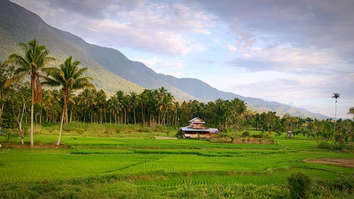 Scenic view of field and mountains against sky