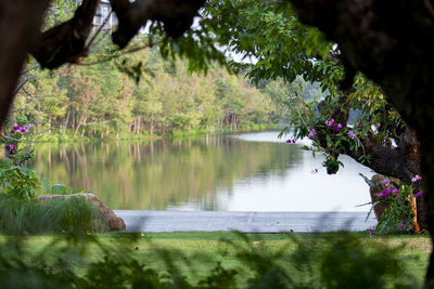 Scenic view of lake in forest