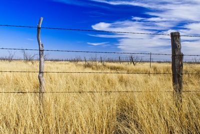 Scenic view of field against blue sky