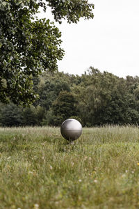 Surface level of ball on field against trees