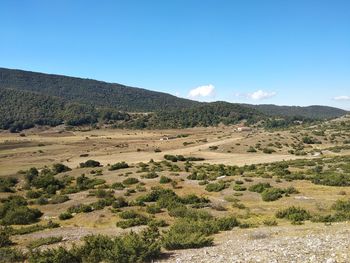 Scenic view of landscape against clear blue sky