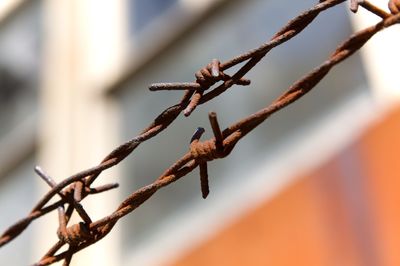 Close-up of barbed wire on fence