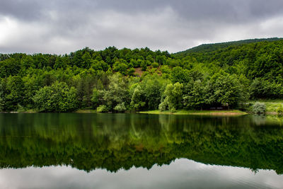 Scenic view of lake by trees against sky