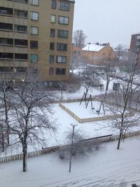 Bare trees in city during winter