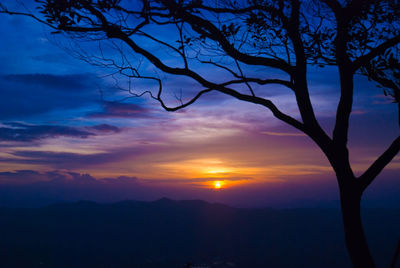 Silhouette bare tree against sky during sunset