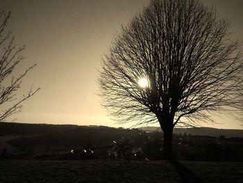 Silhouette of bare trees on field