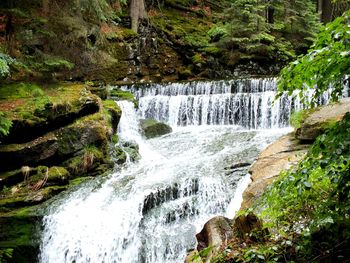 Scenic view of waterfall in forest