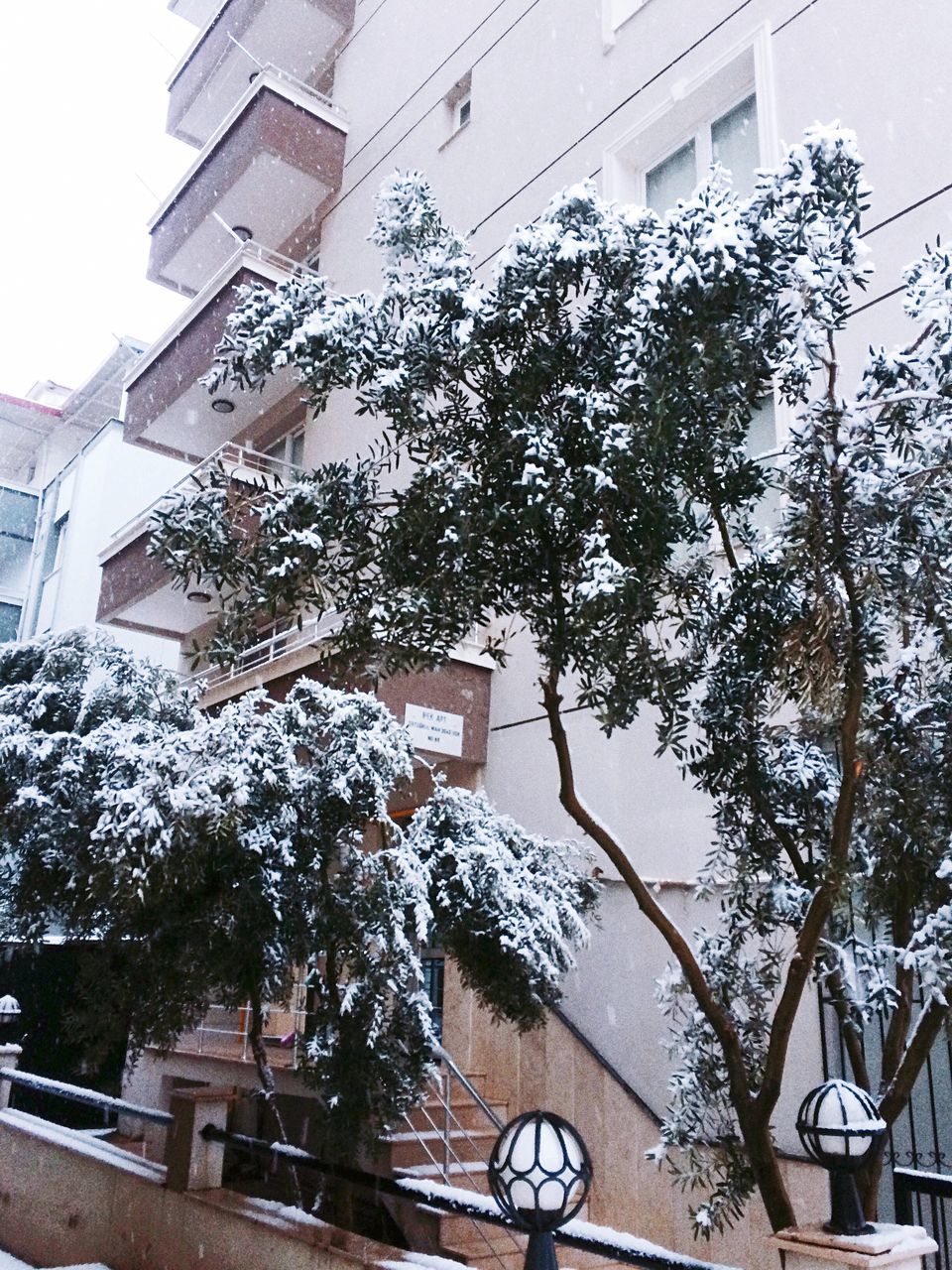 building exterior, built structure, architecture, no people, tree, low angle view, outdoors, day, sky, nature, water