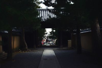 Trees on entrance of building