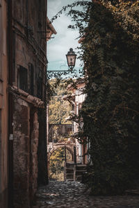 Bridge over canal amidst trees against sky