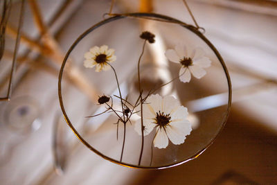 Close-up of illuminated chandelier