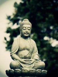 Statue of buddha