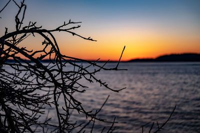 Silhouette bare tree by lake against romantic sky at sunset