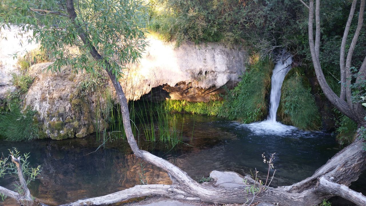 water, motion, forest, flowing water, scenics, flowing, tree, stream, nature, beauty in nature, tranquil scene, non-urban scene, tranquility, waterfall, day, outdoors, power in nature, splashing, no people, woodland, footpath, remote