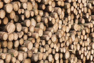 Pile of stacked round wooden tree poles in a full-frame image