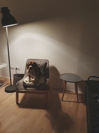 Dog sitting on chair by lamp shade at home