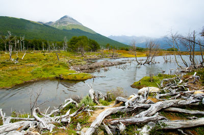 Scenic view of lake and mountains against sky