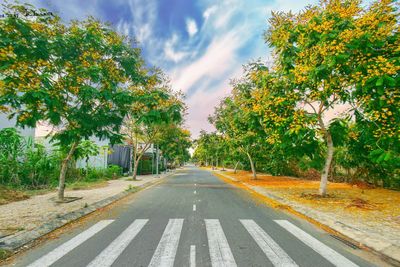 Empty road amidst trees against sky in city