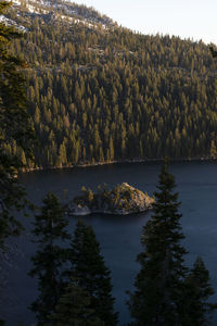 High angle view of trees by lake in forest against sky