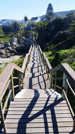 Shadow of trees against clear sky