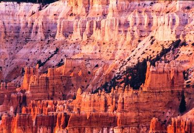 Rock formation in cave