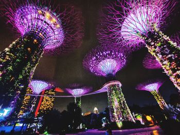 Low angle view of illuminated christmas tree at night