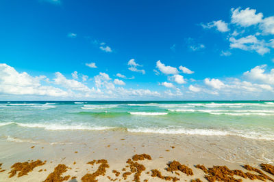 Scenic view of beach against sky